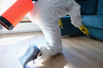 Pest Fumigation Service in Wilmington, NC