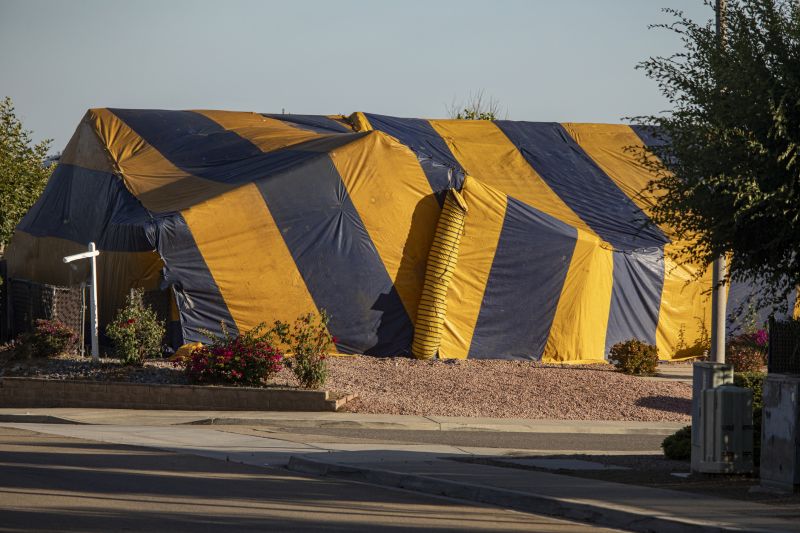 Termite Tenting in West Palm Beach, FL
